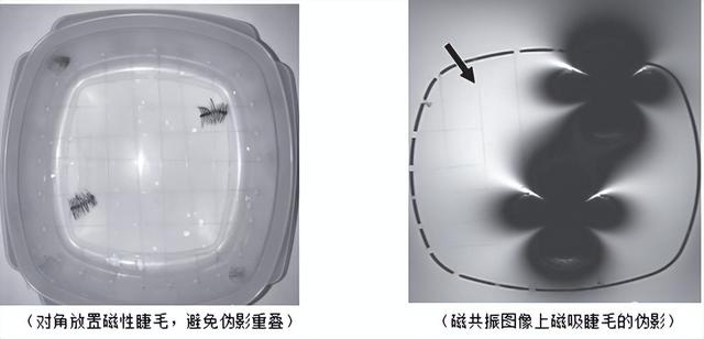 【职工健康】那些总戴假睫毛的人，现在都怎么样了？