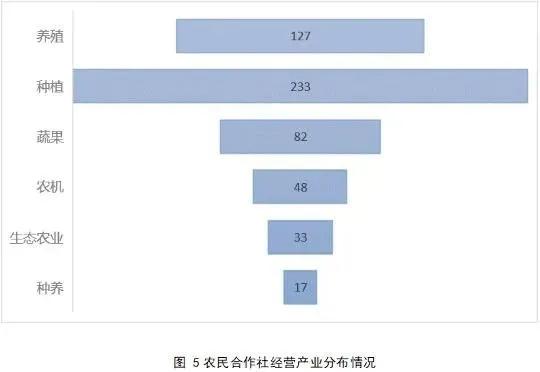 2020年中国新型农业经营主体发展分析报告（一）——基于农民合作社的调查数据