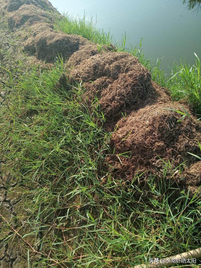 耗氧量是衡量溶解氧的重要指标，养殖户应该如何减少耗氧量？