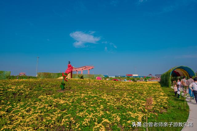 免费，西安爱菊第二届菊花节超详细攻略，溜娃研学拍照游玩涨知识