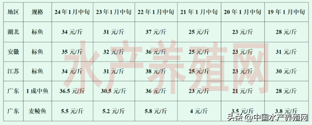 持续涨价，明年饲料鳜会大量扩张吗？这些问题一定要注意！