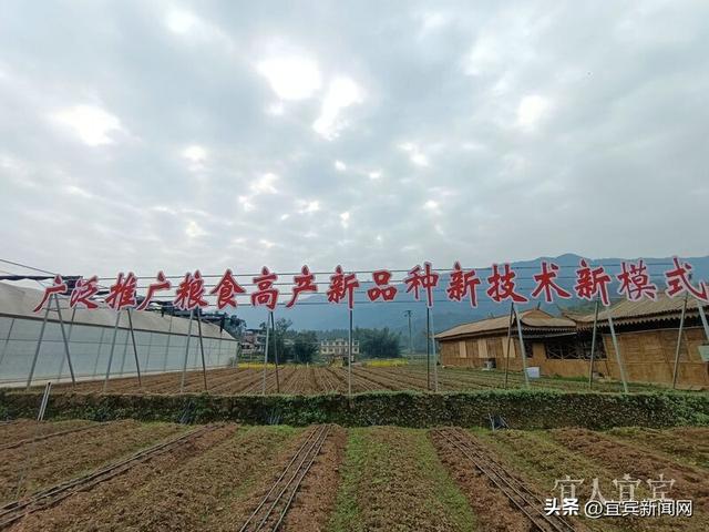 看宜路精彩丨山上看风景 山下看产业