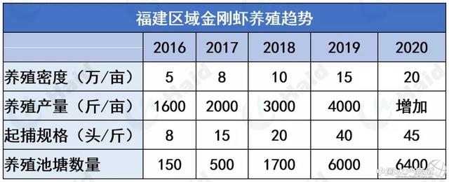 新形势下，金刚虾黄黑鳃防控全攻略