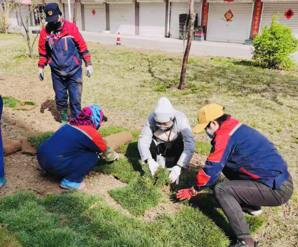 恒利物业和光辉社区开展草坪补栽为美化园区环境助力