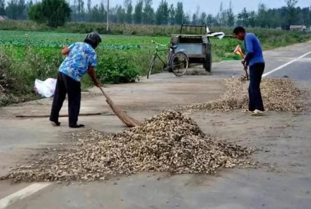 农民种一亩地，究竟能花费多少钱？