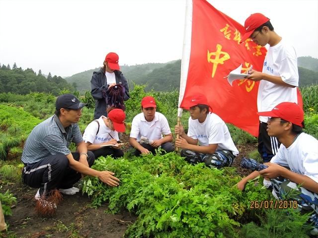 中草药栽培与鉴定专业：种出未来的“绿色宝藏”