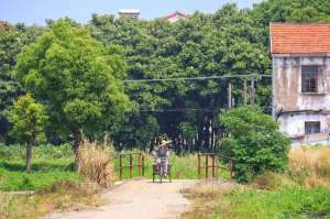 种植豆芽利润(这3种农村小生意，看着不起眼，利润却在100%以上)