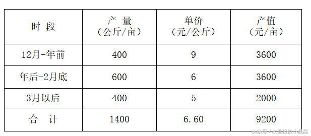 农业算大帐系列：仪征紫菜苔种植收益每亩约为3550元