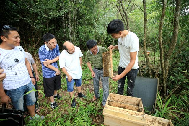 福建省邵武市：野熊家庭农场积极创建蜜蜂养殖标准示范场