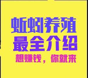 日本蚯蚓养殖业(养殖蚯蚓利润高，技术简单好养活，想赚钱的别错过)