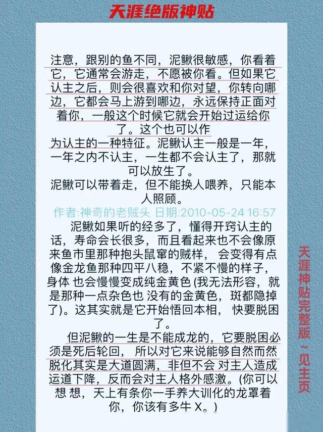 如果你没钱，那就养只泥鳅转运。天涯论坛曾经有一篇帖子讲的是