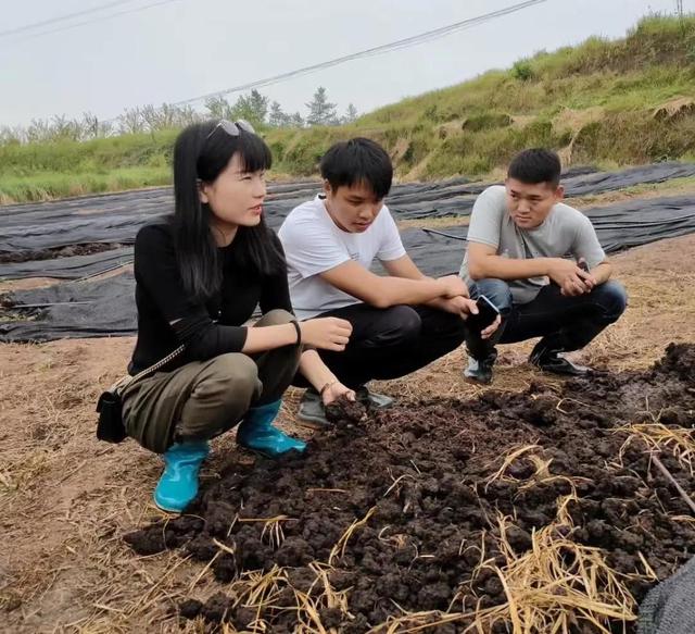 川妹子继承百亩养殖场，地里全是蚯蚓，卖蚯蚓粪年赚100万