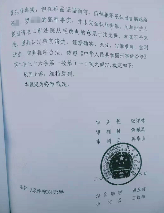 广西男子市场购买鹦鹉自学技术繁殖 售卖4只获刑5年罚款2万