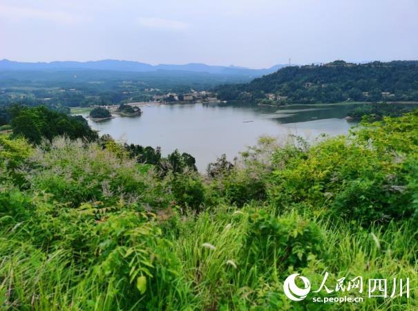 四川巴中：南江华润希望小镇竣工落成 助力乡村振兴