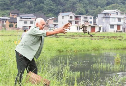 “万亩螺塘”助脱贫