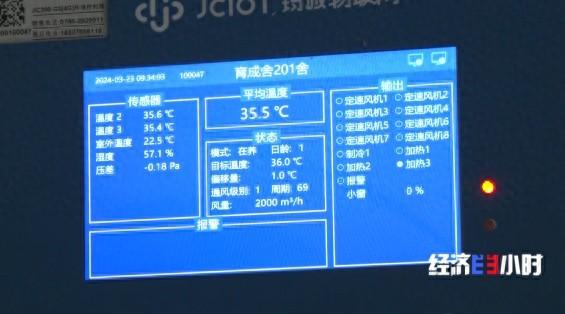 “智能模式”养鸡场 1人1年养20万只鸡 怎么做到的？