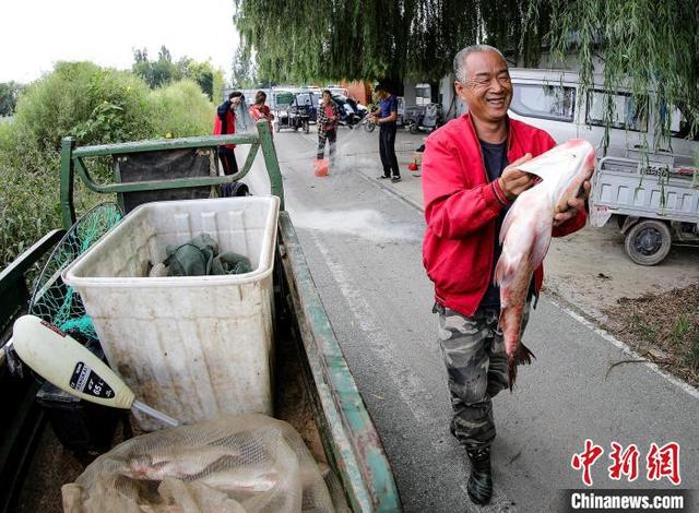 一船一码一证：“京津冀最美湿地”衡水湖开湖捕鱼