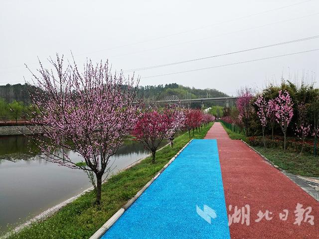 谷城石井冲村：航空新村火起来