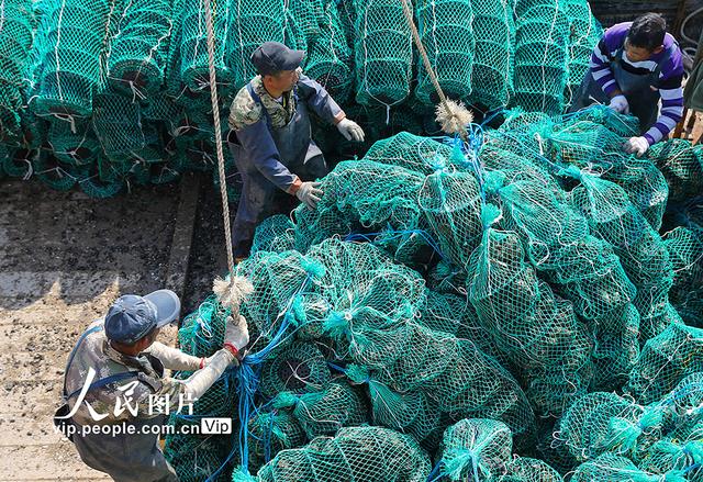 江苏连云港：海水养殖提质增效