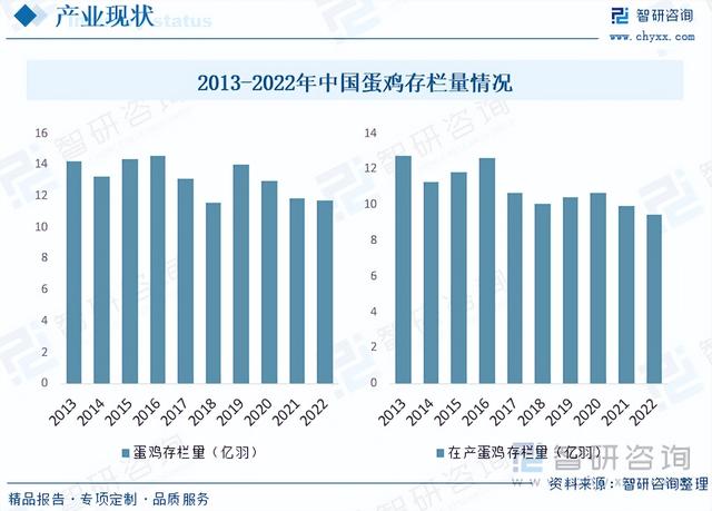 【前景趋势】一文读懂2023年蛋鸡养殖行业未来发展前景