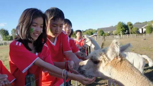 传统养殖彻底被颠覆！农牧旅游成为农业新经济