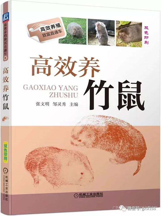 竹鼠养殖函授学习—《竹鼠养殖成功全集》最新版本发行