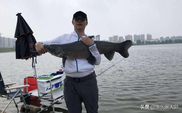 怎么才能钓到大青鱼？最能够吸引大青鱼的气味？实用干货，收藏了