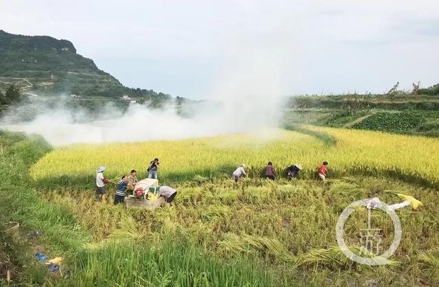 一个孤峰耸立的世外桃源：重庆綦江天台山