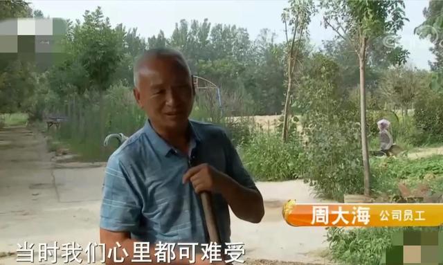 河南男子打造鸵鸟谷，靠鸵鸟实现农业文旅产业融合，销售额800万