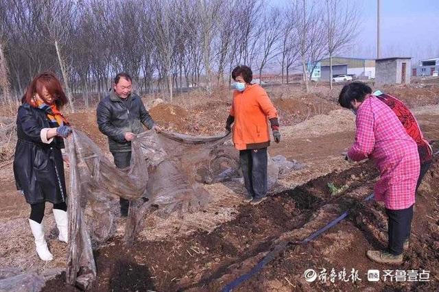 小蚯蚓不简单！专吃牛粪餐厨垃圾和尾菜，粪便还是有机肥