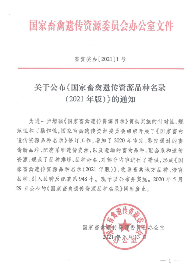 谁能保护渤海马？曾是山东好马的骄傲，如今不受重视快要绝种了！