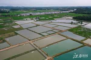 什么是养殖基地(养殖基地 助农增收)