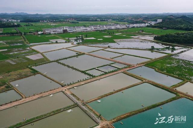 养殖基地 助农增收