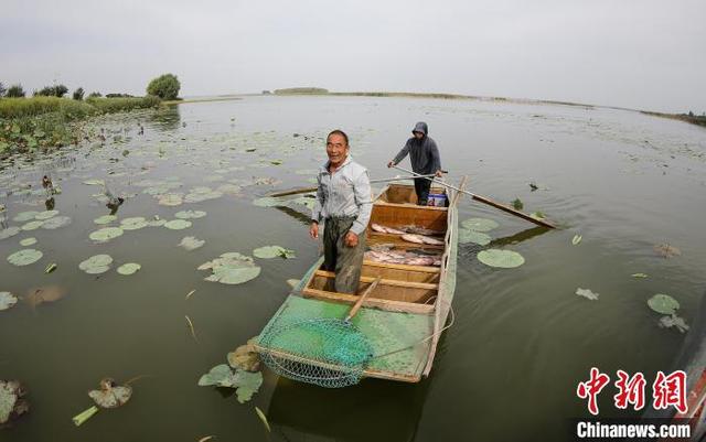 一船一码一证：“京津冀最美湿地”衡水湖开湖捕鱼