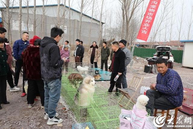 潍坊诸城：建链盘活沉睡资源 养殖产业“环环”生金