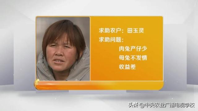 【田间示范秀】肉兔产仔的烦恼