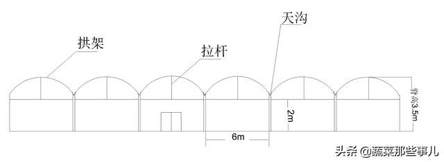 这几种大棚好用！投资少、利用率高、“看棚种菜”效益好