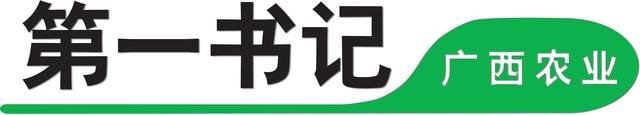 广西南宁：办实事，找产业，乡亲们都称他为“能解决问题的第一书记”