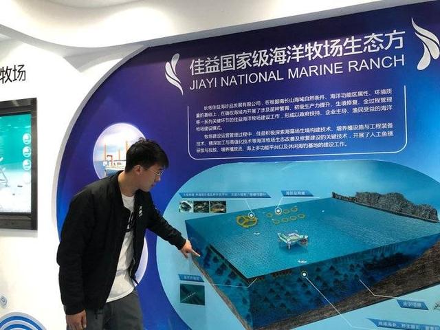 山东深海网箱养殖保险“破冰”海洋牧场不怕风急浪高