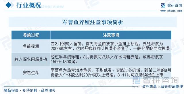 2023年中国军曹鱼行业全景速览：养殖周期较长，高风险高收益并存