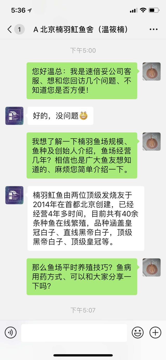 楠羽魟鱼养鱼经——速倍妥新年专访第一弹