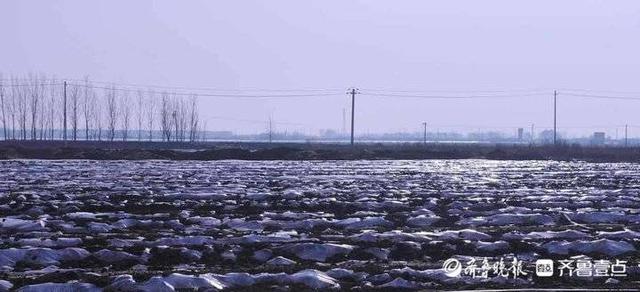 小蚯蚓不简单！专吃牛粪餐厨垃圾和尾菜，粪便还是有机肥