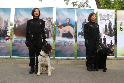 无言的战友！实地探访北京市公安局警犬基地