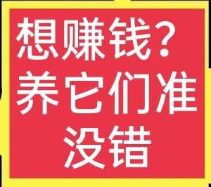 什么养殖投资少(十个不用担心销路的养殖项目(1)一般人我不告诉他，看完请收藏)