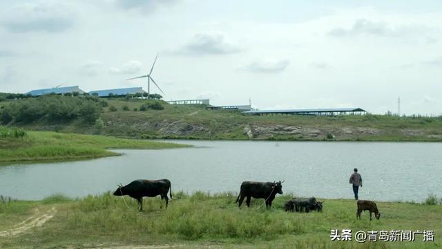 20家！青岛评定首批市级生态农场