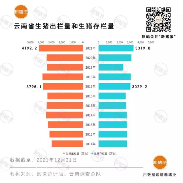 养猪黑马！2021年云南出栏4192万头全国第五，巨头扎堆布局1500万产能