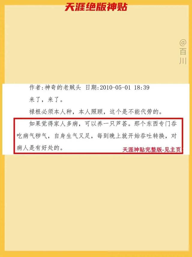 如果你没钱，那就养只泥鳅转运。天涯论坛曾经有一篇帖子讲的是