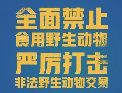 不懂法、不守法，“养鸟”也可能犯罪！