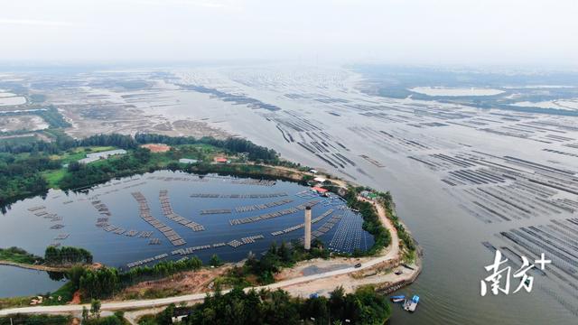 湛江坡头官渡生蚝产业园开工！蚝史馆、美食街、育种中心将相继落户