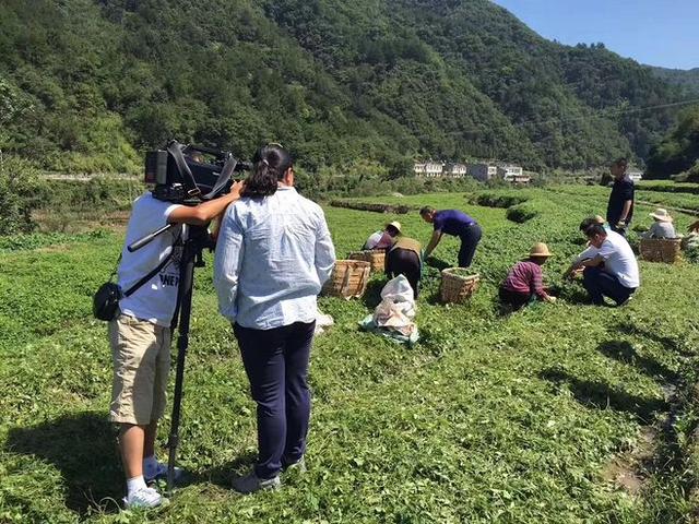 中央电视台的《致富经》栏目真的能让人致富吗？对此你怎么看？